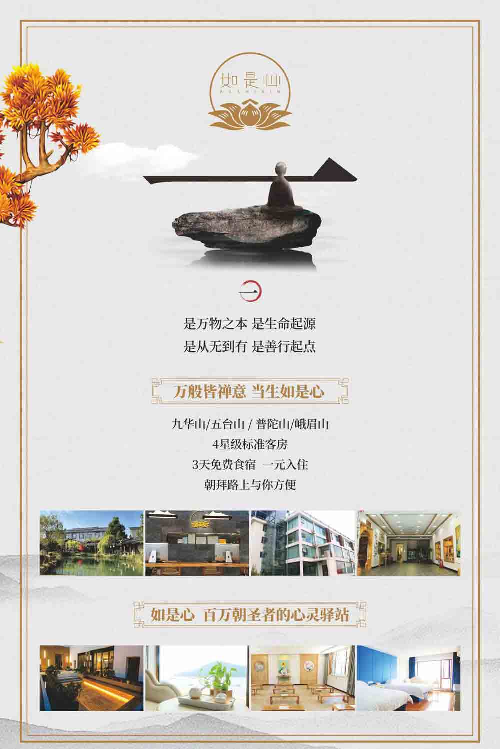 1691239728703545.jpg 8.jpg