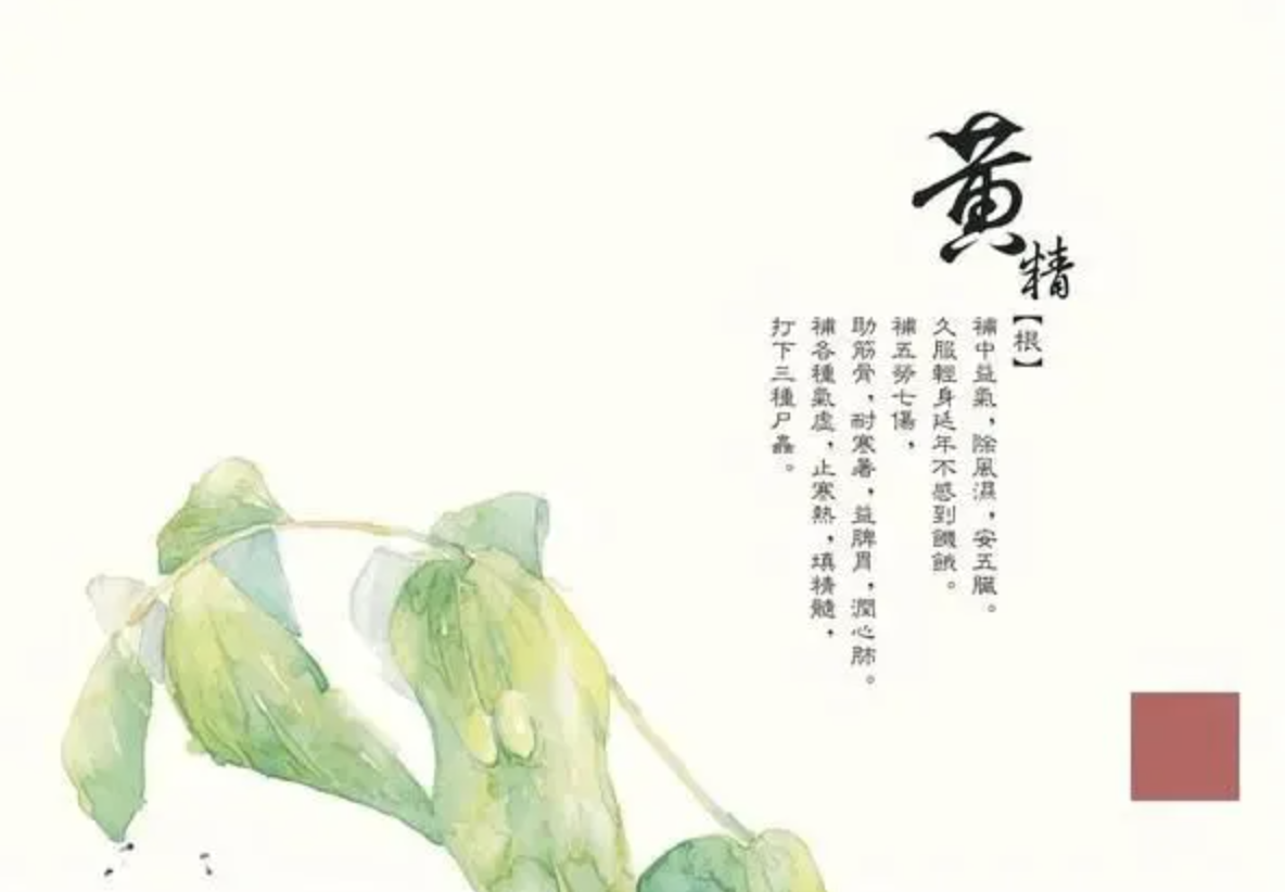 如是心黄精:温和食养,不必怕燥热 如是心黄精:温和食养,不必怕燥热