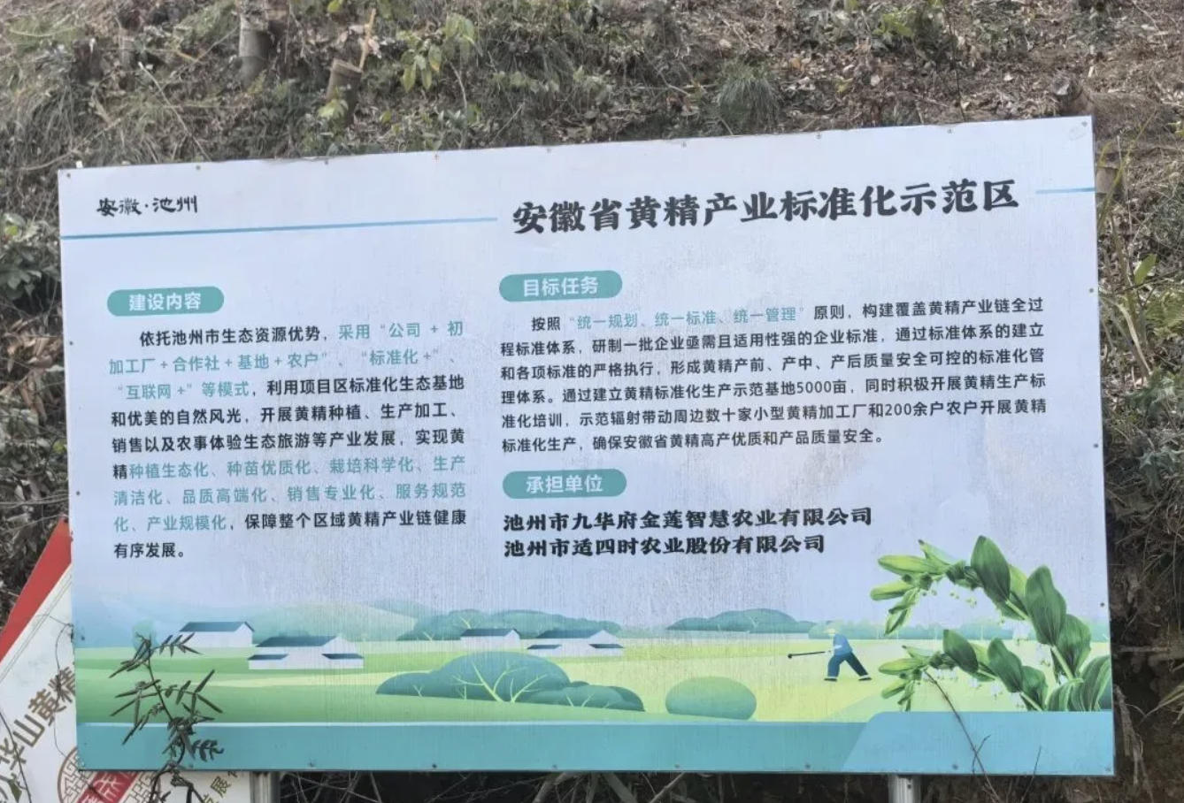 寻味九华，匠心如是——如是心黄精基地