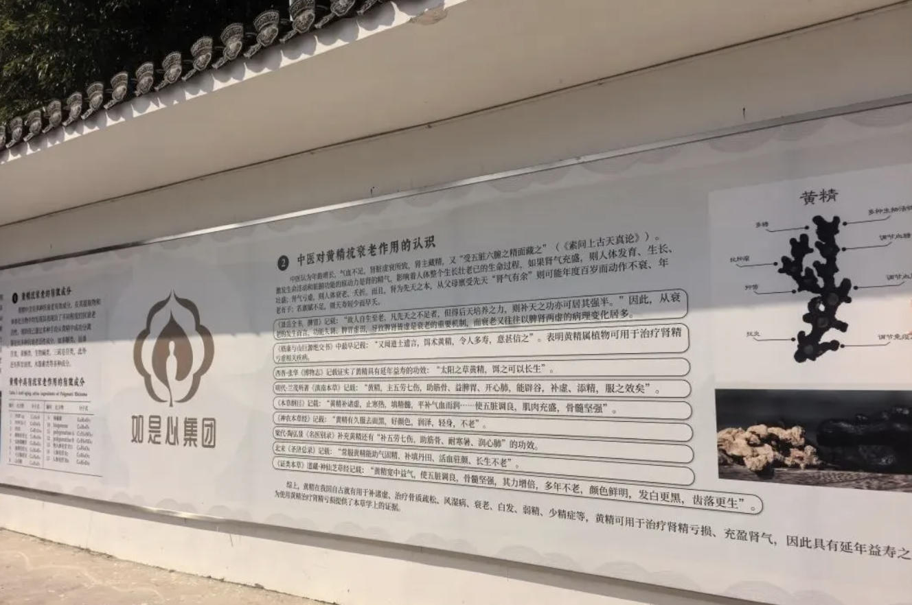 寻味九华，匠心如是——如是心黄精基地